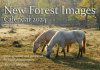 New Forest Images Calendar 2024