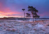 Winter Sunrise at Harvest Slade image ref 336