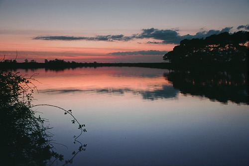 New Forest Landscapes : Reflections on Hatchet Pond