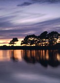 Sunset at Hatchet Pond in High Summer image ref 171