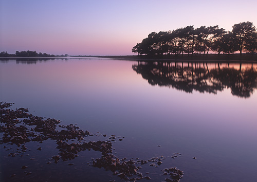 New Forest Landscapes : Twilight over Hatchet Pond