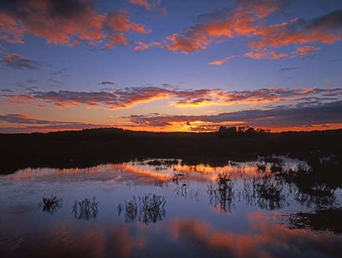New Forest Landscapes : Sunset Reflections