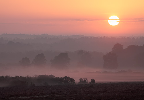 New Forest Landscapes : Sunrise over Matley