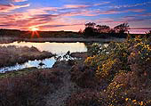 Sunset over Two Bridges Pond image ref 339