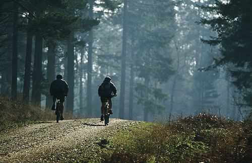 About The New Forest : Cyclists on New Forest track